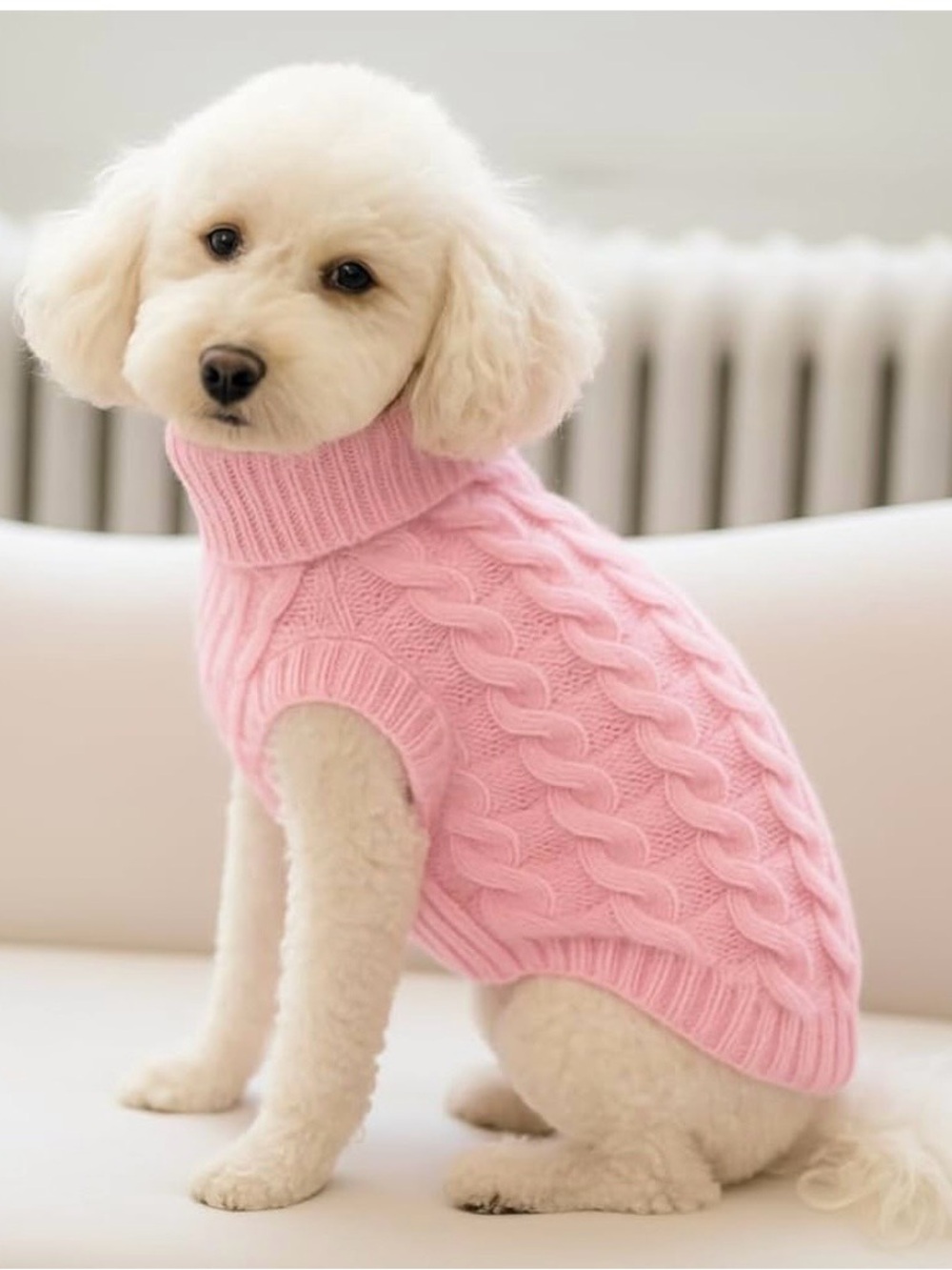Blue, Cream, & Turquoise Turtleneck Dog Sweater (similar style to one in photo)